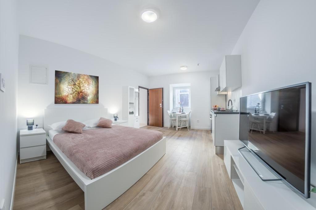 Apartment Klara Free Parking, Center Пула Екстериор снимка
